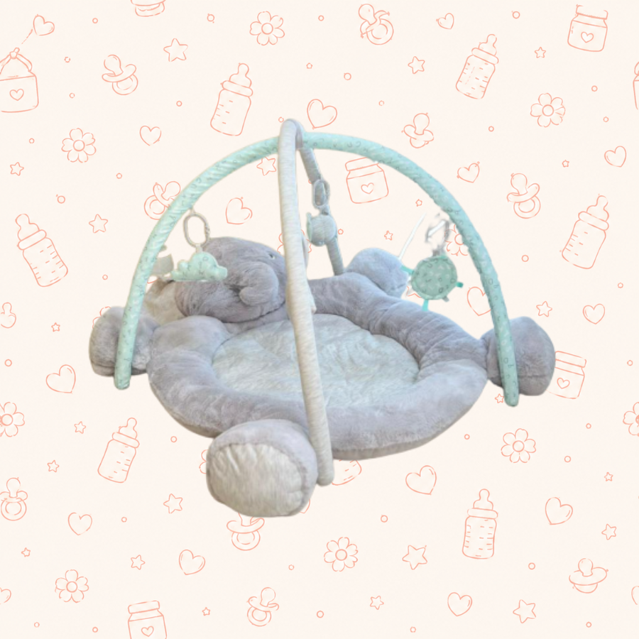 Gimnasio luxury de peluche gris verde menta